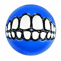 Rogz Grinz Fetch Treat Dispensing Ball Dog Toy Blue Medium