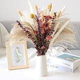 Natural Dried Flower Bouquet , Dried Pampas Grass Decor, 8 Varieties Flowers for Vase, Dried Floral
