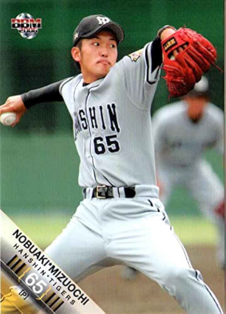 Amazon.co.jp: 2006bbm 阪神タイガース レギュラーカード No