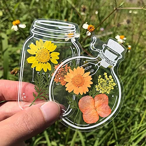 30 segnalibri trasparenti a fiori secchi, fai da