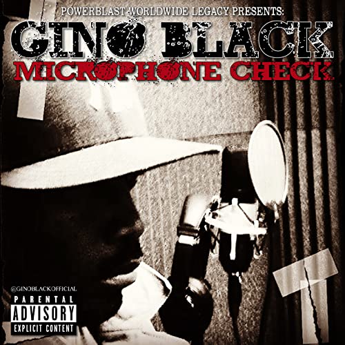 Best Microphone For Recording Spoken Word Expert Review The