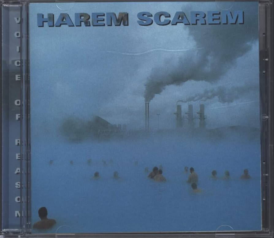 Amazon.co.jp: Voice of Reason: ミュージック