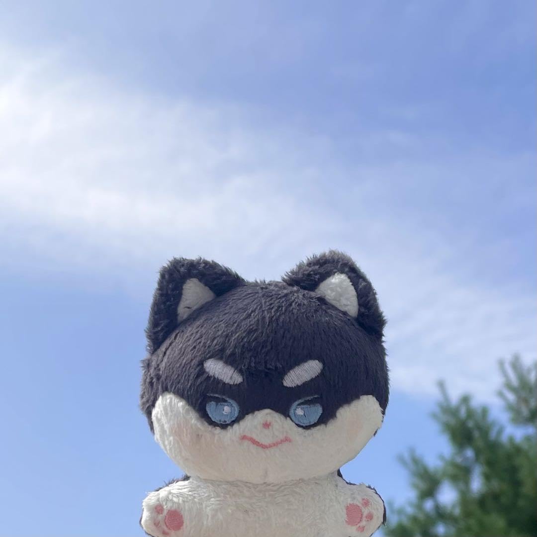 ROWOON マスター　ぬいぐるみ Amazon.co.jp: zb1 ゼベワン ゴヌク ぬいぐるみ 베베욱 べべウク