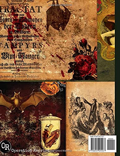 Vampire Vintage Journal Pages & Ephemera: Kit Includes 20 Gothic Pages For Scrapbooking And Collage - Image 2