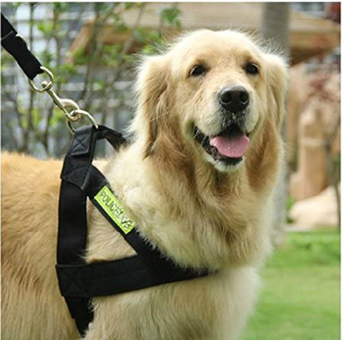 KTM Healthcare® Collar, M : Pet Products Dog Supplies Cat Harness Dog Harness Fashion 1031# 1PC