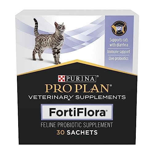 Best Pet Enema For Cats 2023 Where to Buy?