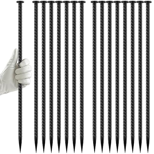 EUOKOK 16C` S؍Y - a1/2C` bL|nAJ[ AT|[g ^K[fXe[N ϋvAJ[XpCN Xs[hovAԏꉏ΁ALvegp (10pbN)