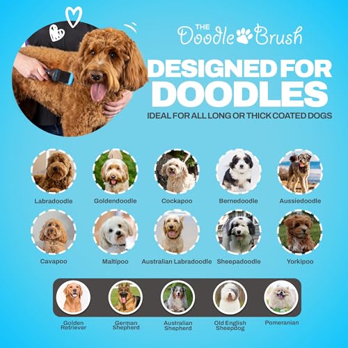 The Doodle Brush - Hundebürste für Goldendoodles & Labradoodle Einzelkopf, hundebü langhaar Pudelbürste - entfilzer hunde - zupfbürste hund, Entwirrungsbürste für Hunde Hundehaarbürste
