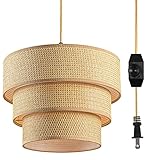 Mateyrie Plug in Pendant Light, Hanging Lamp with Dimmable Switch, Pendant Light Fixtures with 15 Ft