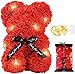 Orso di Rose Orsetto di Rosa Orsacchiotto Altezza 25 cm Teddy Bear Idea Regalo Regali per Lei Fidanzata Compleanno Mamma Anniversario San Valentino con led… (Rosso)