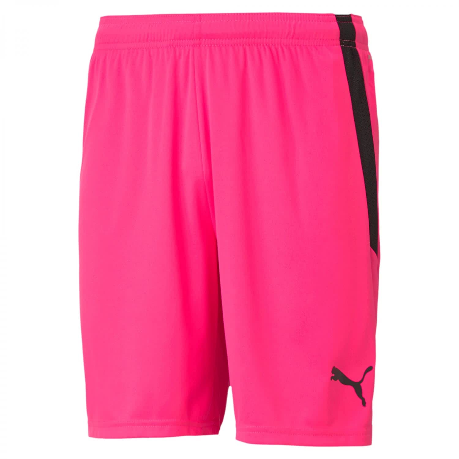 Puma Teamliga Shorts - Pantalones Cortos Hombre — view 23