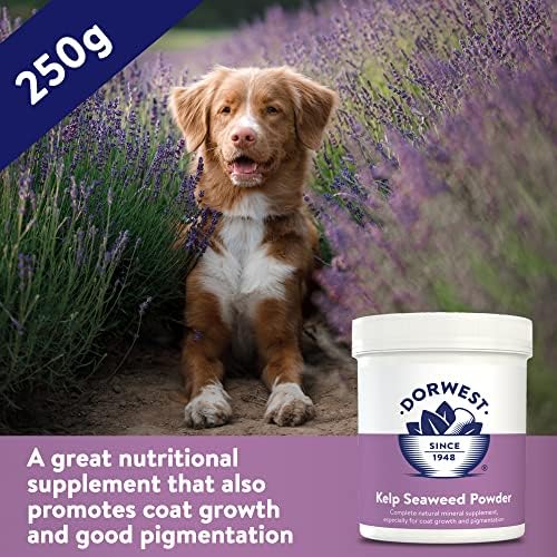 Dorwest Kelp Seaweed Powder 250g, Natural Multivitamin Powder for Dogs and Cats  Natural Mineral Supplement for Coat Growth and Pigmentation