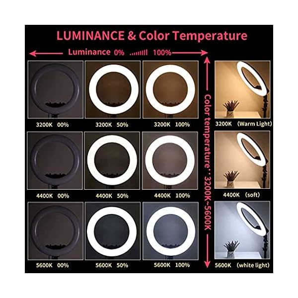 FACAZ 22"/56CM Ringlicht Einstellbarer LED Stativständer für Tik Tok YouTube Live Streaming Video Meeting Make-up Selfie etc – Bild 3