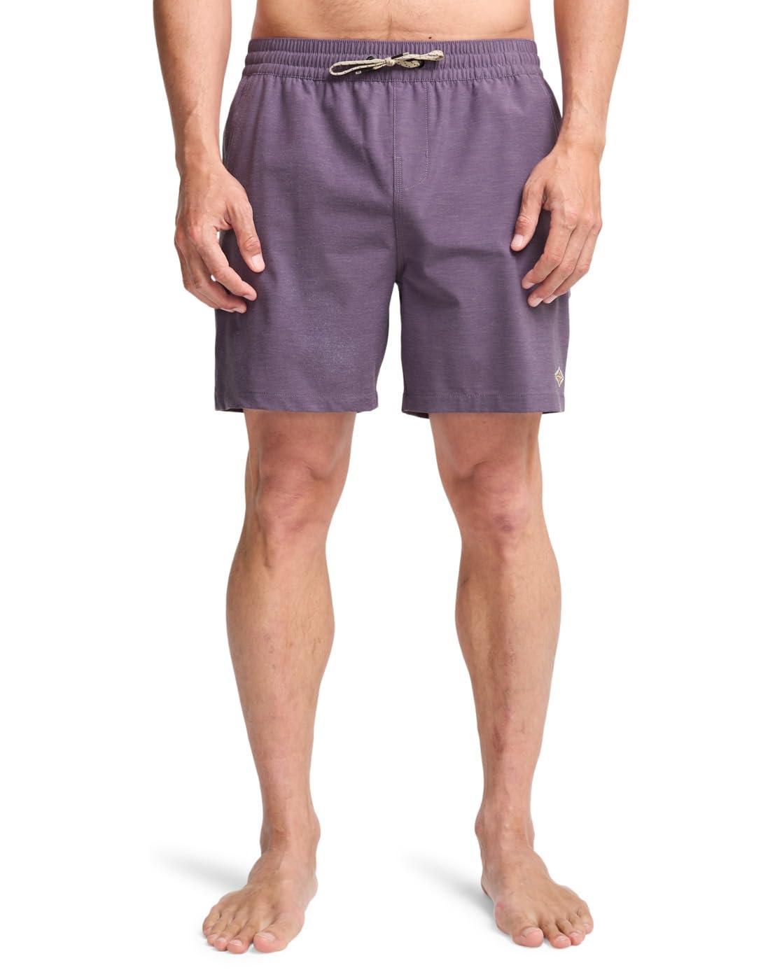 BILLABONG Every Other Day 17"- Layback Swim Shorts for Men - Swim Shorts - Men - Purple