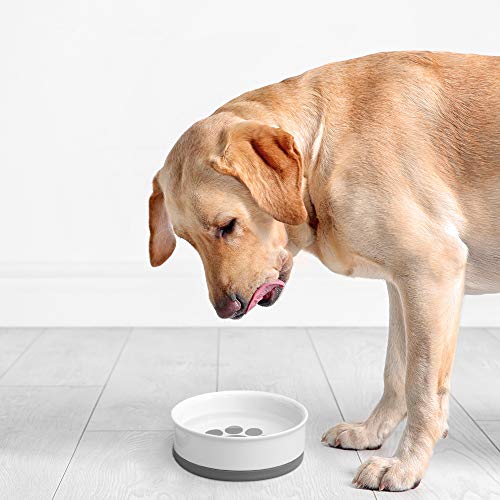 Navaris 2X Hundenapf Futternapf Fressnapf - Futterschüssel Napf Set für Hunde Katzen - Näpfe mit Silikon Boden - spülmaschinenfest rutschfest