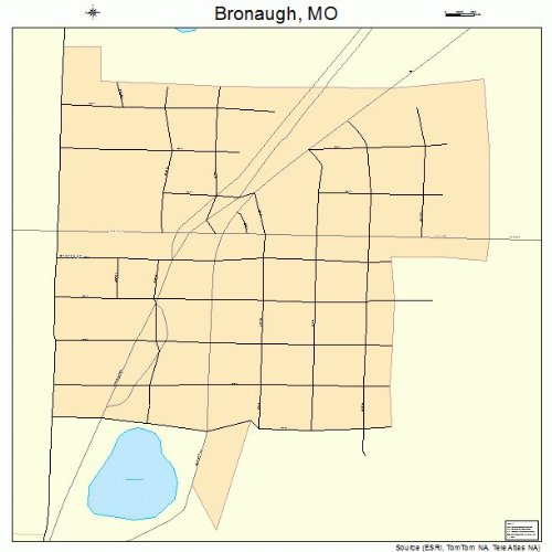 Large Street & Road Map of Bronaugh, Missouri MO Printed poster size
