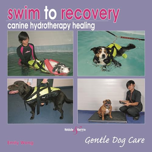 Swim to recovery: canine hydrotherapy healing: Gentle Dog Care