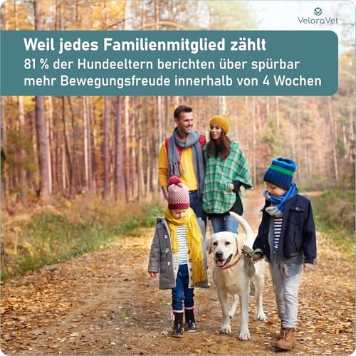 VeloraVet Grünlippmuschel Gelenktabletten Hund – HOCHDOSIERT mit Grünlippmuschelpulver, MSM, Teufelskralle, Glucosamin & Kollagen – Keine Kapseln, hohe Akzeptanz – Gelenk- & Knochenschutz – 60 Stück