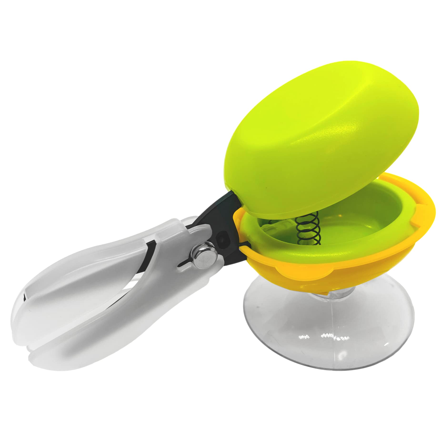 Buy HARAC Table Top Scissors with Base Adapted Scissors Spring Loaded