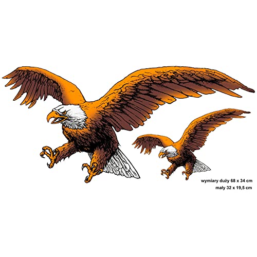 Autocollant AutoTattoo Eagle Avisa pour masquer les rayures de voiture proprement