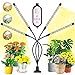 Garpsen Lampe pour Plantes, 2020 Nouvelle 80 LEDs 4 Heads Lampe de Croissance, Chronométrage AUTO - ON/OFF Lampe Led Horticole pour Semis, Succulentes, Orchidee(660nm/3000K/5000K)