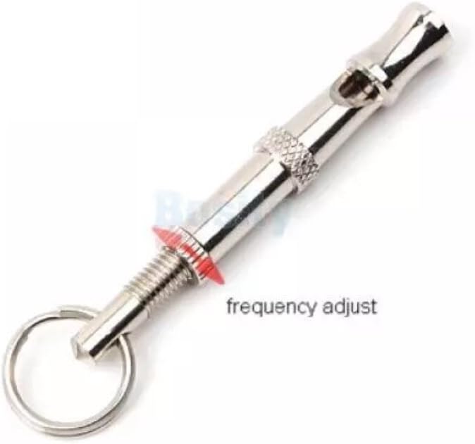 2pc Silver Whistle for Bird/Pigeon Parrot Pet Training Feeding Helper Frequency Adjust (Silver)