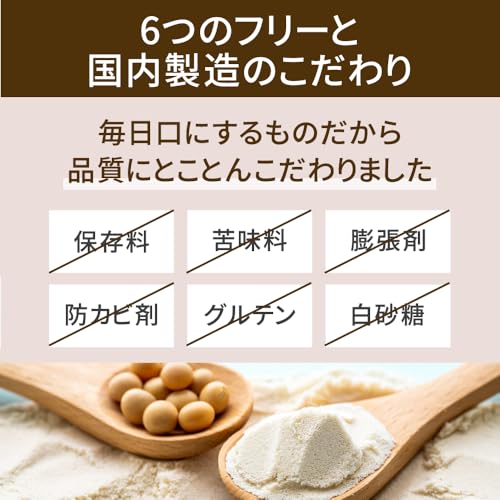 ザプロソイプロテインリッチチョコ風味1kg武内製薬THEPROTEINプロテインソイ女性向けトレーニング大豆プロテイン
