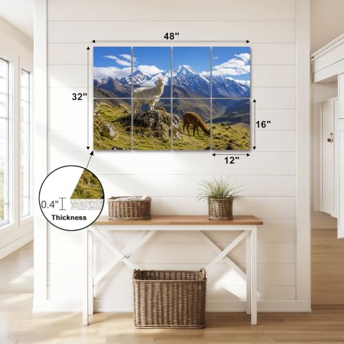 8 Pack Paneles Acústicos Artísticos para Absorción de Sonido Paneles Decorativos Auto Adhesivos para Estudios de Grabación y Hogar 48x32 pulgadas miniatura 2