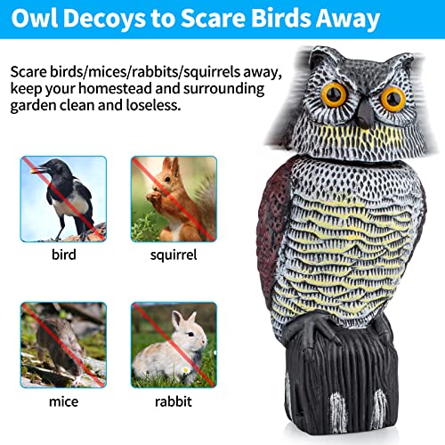 Owl Decoys to Scare Birds & Squirrels Away, 360 Rotating Head, Plastic Garden Owls for Indoor/Outdoor Use