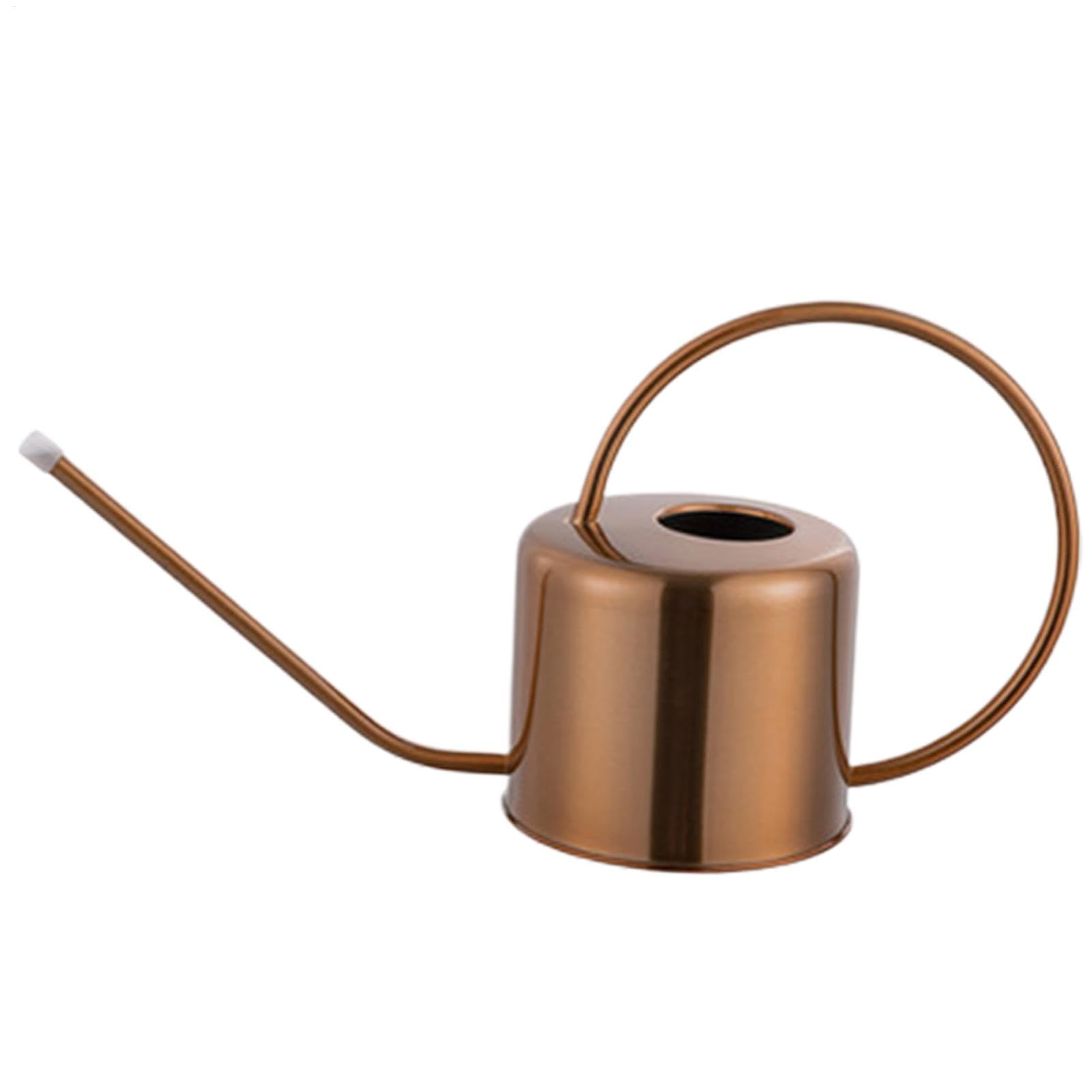 Arrosoir à long bec en acier inoxydable durable pour maison et fleuristes
