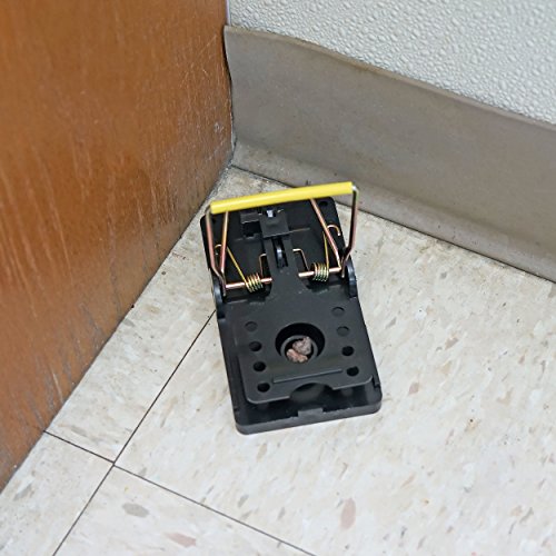 Itrap Easy Set Snap Rat & Mouse Traps W/ Bait Cups, 8 Pack - Simple Deadly Pest Control #TOP4