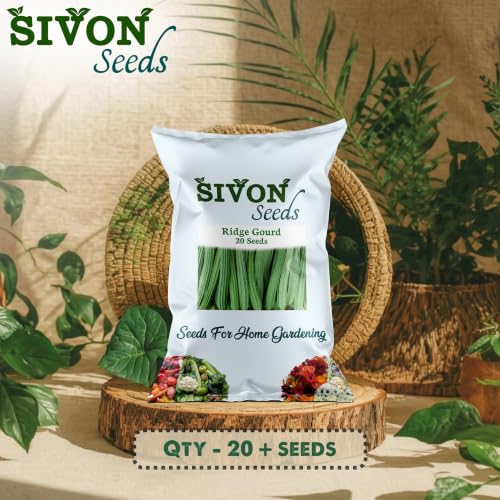 Image of SIVON Ridge Gourd (Turai) (20 Seeds) Vegetable Seeds for Home Garden, Organic & Hybrid, Perfect for Home Gardening, Planting For Pots and Patio