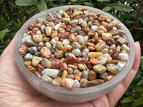 Image of GAF TREASURES 2 oz Lot Natural Crazy Lace Agate Semi Tumbled Gemstone Chips, Crushed Mini Crystals, Undrilled Crystal Chips (Crazy Lace Agate)