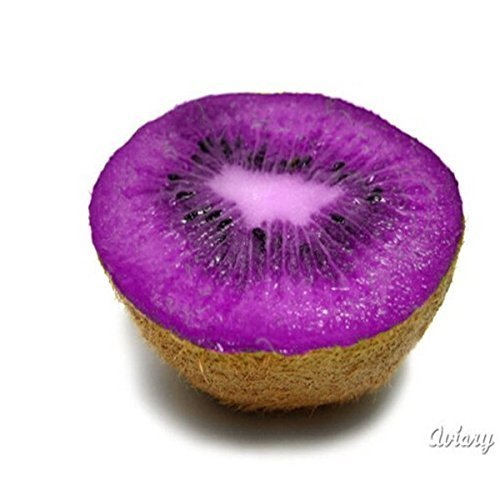 MIYU Sale!200 seeds/pack Fruit Seeds,20 Kinds Kiwi Seeds Red Yellow Green Purple,Nutrition Is Rich,Very Tasty And Delicious, Home