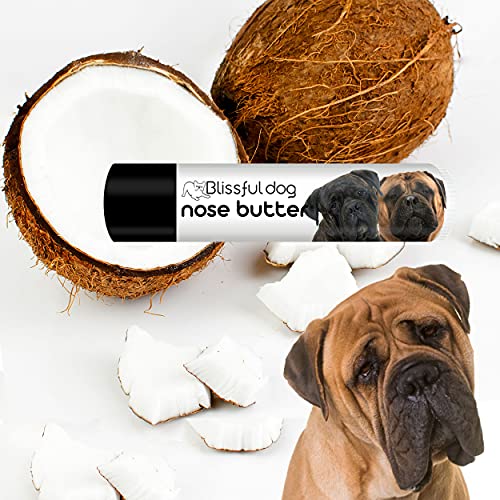 Image of The Blissful Dog Bullmastiff Nose Butter for Dry, Cracked Skin, Lick-Safe Dog Nose Balm with Moisturizing Shea Butter, Almond, Olive, and Essential Oils, Pet Supplies, Uncented, 0.15 oz.
