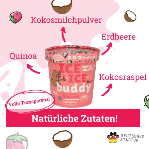 BeG Buddy EIS für Hunde [ohne Zuckerzusatz] als Snack, Hundeeis Selbermachen, Abkühlung Hund, Dog Ice [100% natürlich], Hundeleckerli mit gesunder Erdbeere & Kokos
