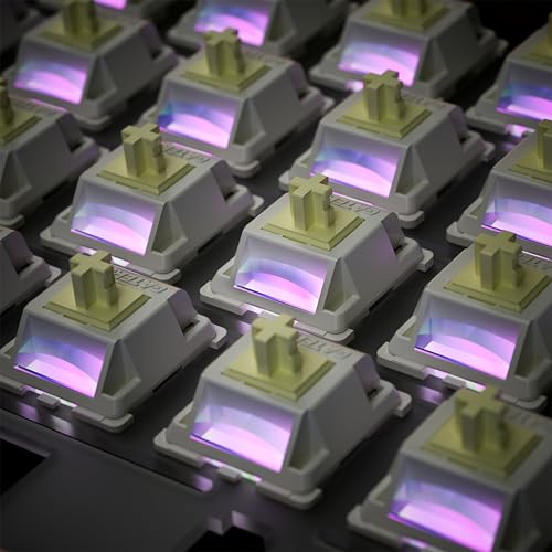 Image of Gateron Cream Silent Pre-Lubed Linear Keyboard Switches,45gf 5-Pin,10 Pack | Full POM Construction with Light Guide Pole,for Custom RGB Mechanical Gaming Keyboard DIY Mod & Replacement