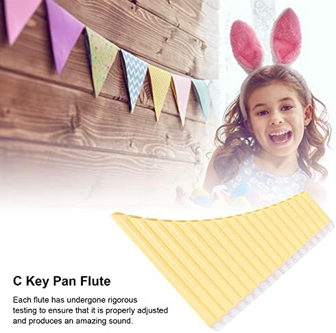 Pan Flute ABS 16‑Tone Tube C Key Musical Instruments with Nylon Padded Handbag for Children Adults Beginners(yellow) 6