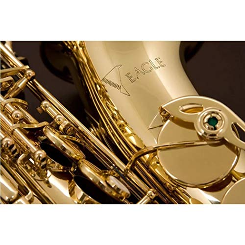 Sax Alto Eagle SA501 Laqueado