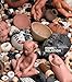 Form and Relation: Contemporary Native Ceramics