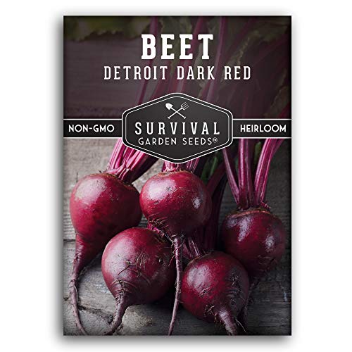 Detroit Dark Red Beet Seeds for Planting - Classic Red Beets for Garden Growing Outdoors, High Yield Heirloom Beetroot, Non-GMO Open Pollinated - Survival Garden Seeds (1 Pack)