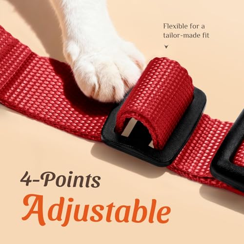 Image of Dooradar Cat Harness and Leash Set, Escape Proof Safe Adjustable Kitten Vest Harnesses for Walking, Easy Control Soft Breathable Mesh Jacket with Reflective Strips for Cats, Red, S