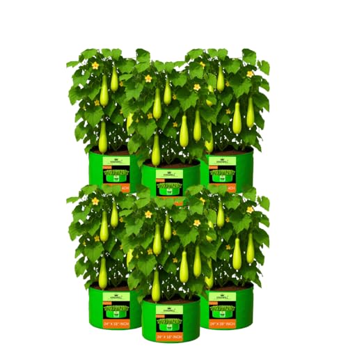 Image of Kingwell Grow Bag 24 X 18 INCH, PACK OF 6 For Terrace Garden Leafy Vegetable Plant Grow Bags Fruits Growing Containers For terrece Gardening (24 X 18 INCH, PACK OF 6)