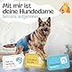 HUND IST KÖNIG Hundewindeln für Hündinnen (3 Stück) - Hochabsorbierende Läufigkeitshose für Hündinnen mit 3-Fach Justierung - Umweltfreundliche Hunde Windeln, Hundehöschen Läufigkeit & Inkontinenz