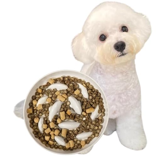 MSBC Hh~ M L ybg{E H ybgH 얞h~ a  ~ ^ X[t[h{E ~ (izCgj)