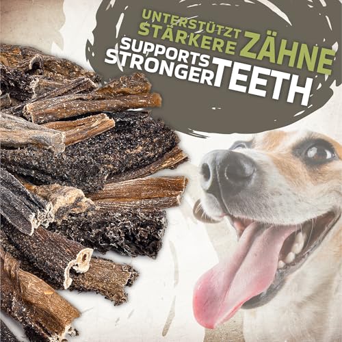Rinderpansen für Hunde 1 kg (ca. 35–40 Stück) | Natürliche Kausnacks | Luftgetrocknet & getreidefrei | Hypoallergen & fettarm | Welpen & ausgewachsene Hunde geeignet
