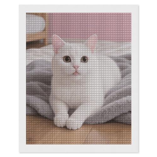 Kit de peinture diamant chat adultes débutants foret carré 5D broderie diamant 40x50 cm