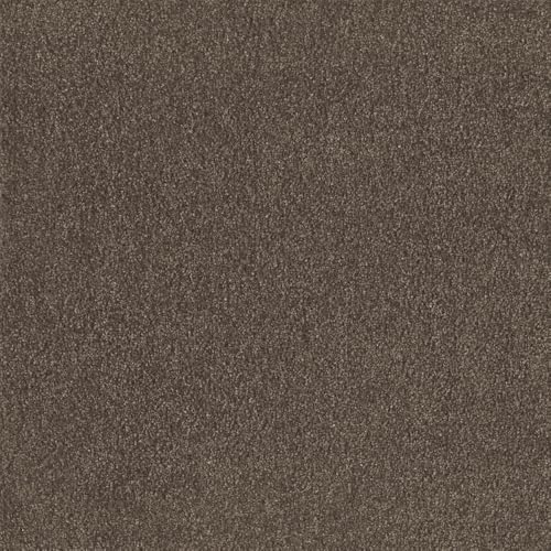 () XNGA2400 \ 10 AbV FF2402  CeA Ƌ ^C J[ybg  tA  FF2402-1