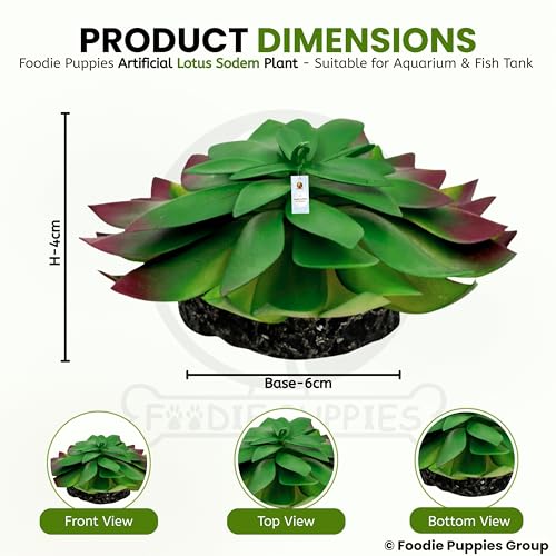 Image of Foodie Puppies Aquarium Plastic Plants with Resin Base Decor - (Lotus Sodem, Small, 6 x 12 x 4 cm) for Fish Tank Ornament Accessories, Household & Office Natural Looking Artificial Plant