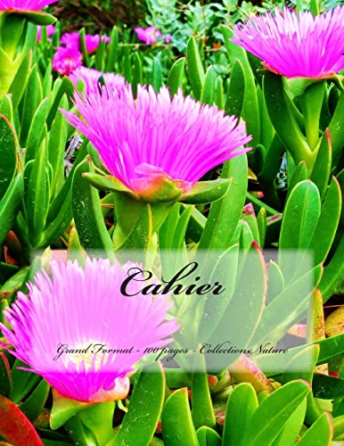 Cahier - Grand Format - 100 pages - Collection ... [French] 1516838017 Book Cover